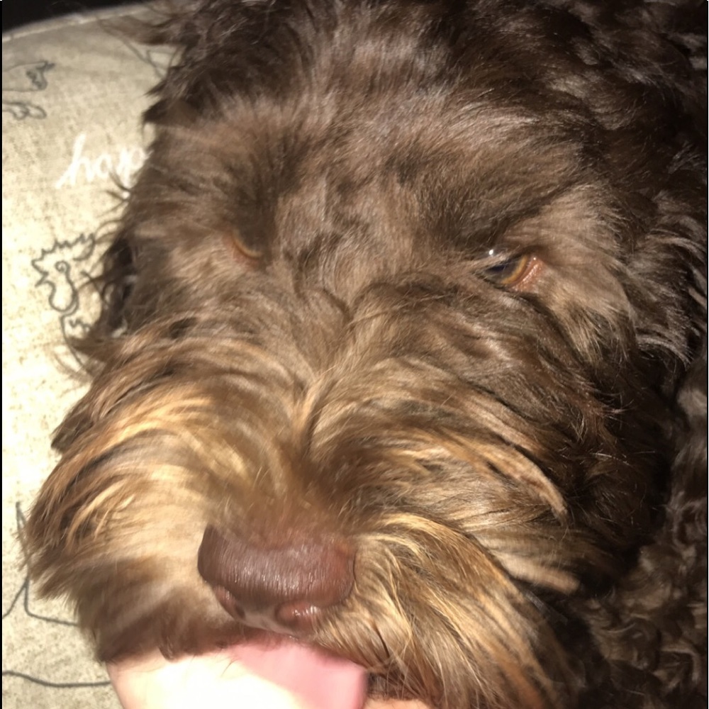 QUESTION!! - Picture 1 of 1